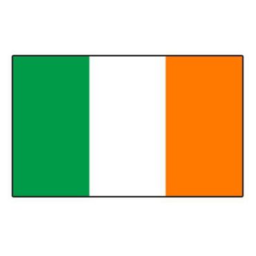 Lot de 10 drapeaux - Irlande Lot de 10 drapeaux - Irlande