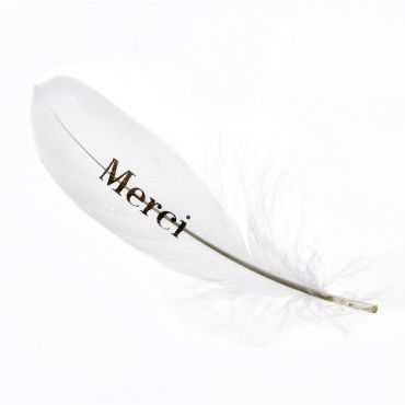 plume-or-merci-decoration | jourdefete.com plume-or-merci-decoration | jourdefete.com