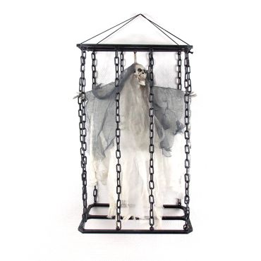 Faucheur blanc tremblant sonore en cage Faucheur blanc tremblant sonore en cage