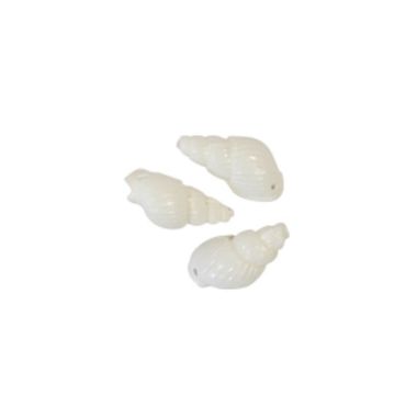 Sachet de 24 Coquillages décoratifs tritons corylus petits modèles - crème