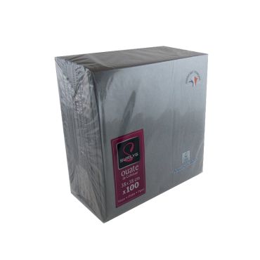 100 Serviettes Ouate de Cellulose Gris 100 Serviettes Ouate de Cellulose Gris