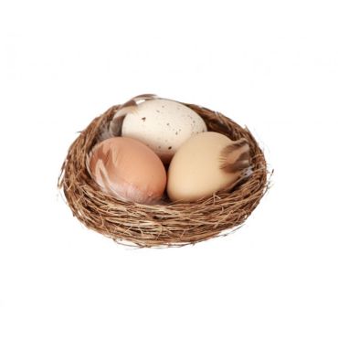 Nid avec 3 œufs réalistes pour décoration | jourdefete.com
