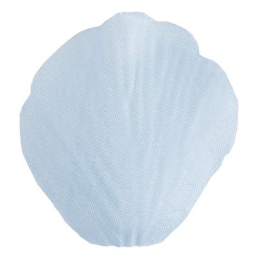 petale-bleu-ciel-fleurs|jourdefete.com