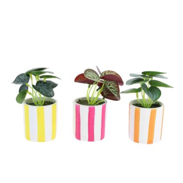 Petite plante artificielle aux feuilles vertes tachetées dans un pot à rayures | jourdefete.com Petite plante artificielle aux feuilles vertes tachetées dans un pot à rayures | jourdefete.com