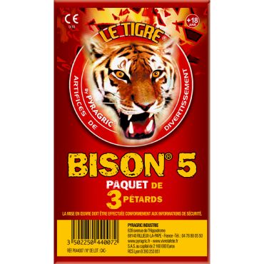 Giga Démon - pack de 3 pétards puissants pour événements festifs | jourdefete.com Giga Démon - pack de 3 pétards puissants pour événements festifs | jourdefete.com