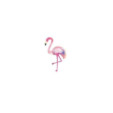 Sachet de 5 tatouages éphémères - Flamant rose | jourdefete.com