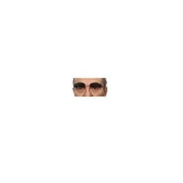 paire de sourcils noir brillant | jourdefete.com paire de sourcils noir brillant | jourdefete.com