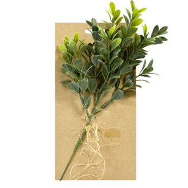 tige-buis-fleur-artificielle|jourdefete.com tige-buis-fleur-artificielle|jourdefete.com