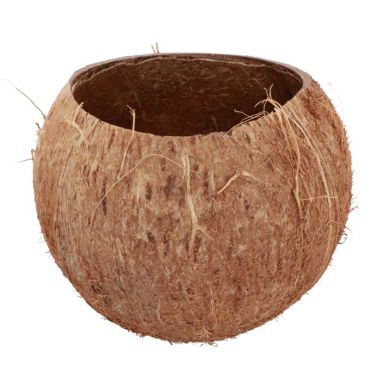 noix-coco-decoration | jourdefete.com